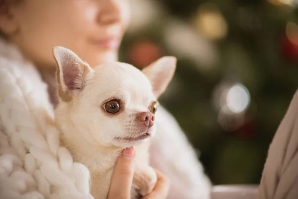 Young woman enjoying her domestic life. Home comfort, winter and holidays time — Stock Photo, Image