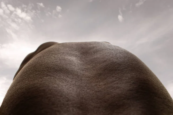 Λεπτομερής υφή του ανθρώπινου δέρματος. Κοντινό πλάνο του νεαρού αφροαμερικανού ανδρικού σώματος όπως το τοπίο με το φόντο του ουρανού — Φωτογραφία Αρχείου