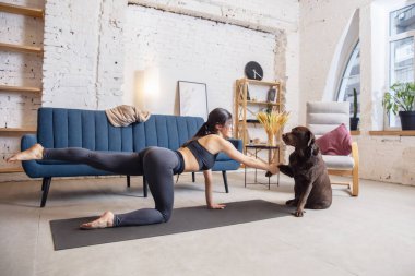 Kilit altındayken evde çalışan genç bir kadın, köpekle yoga egzersizleri.