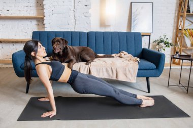 Kilit altındayken evde çalışan genç bir kadın, köpekle yoga egzersizleri.
