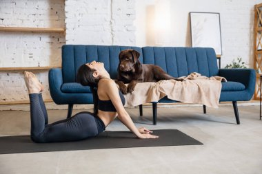 Kilit altındayken evde çalışan genç bir kadın, köpekle yoga egzersizleri.