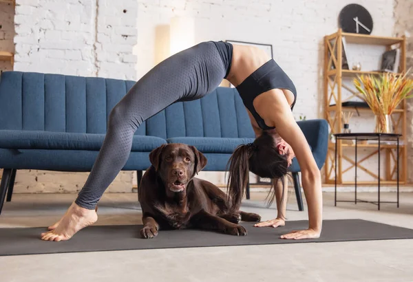 Jonge vrouw uit te werken thuis tijdens lockdown, yoga oefeningen met de hond — Stockfoto