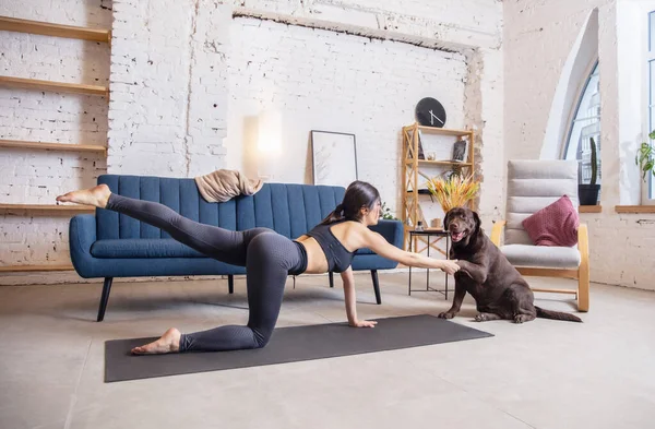 Jonge vrouw uit te werken thuis tijdens lockdown, yoga oefeningen met de hond — Stockfoto