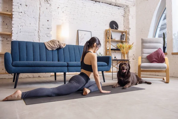 Jonge vrouw uit te werken thuis tijdens lockdown, yoga oefeningen met de hond — Stockfoto