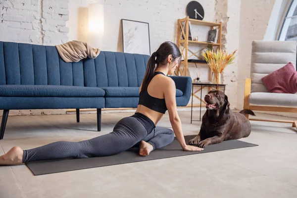 Giovane donna che lavora a casa durante l'isolamento, esercizi di yoga con il cane — Foto Stock