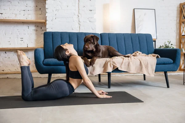 Young woman working out at home during lockdown, yoga exercises with the dog — Stock Photo, Image