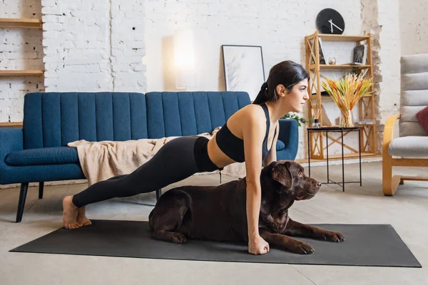 Jonge vrouw uit te werken thuis tijdens lockdown, yoga oefeningen met de hond — Stockfoto