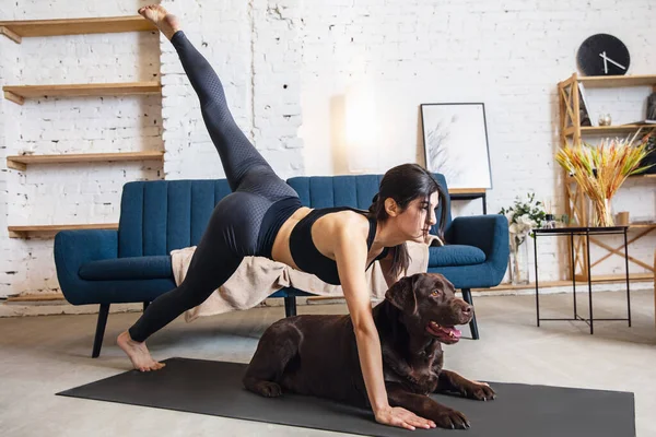 Jovem trabalhando em casa durante o confinamento, exercícios de ioga com o cão — Fotografia de Stock