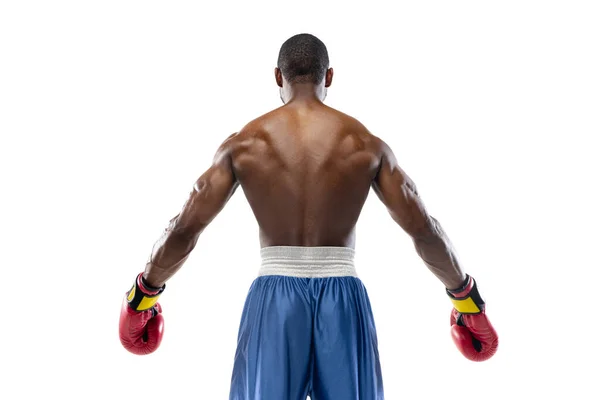 Bright emotions of professional boxer isolated on white studio background, excitement in game — Stock Photo, Image
