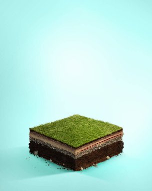 Seyahat ve spor geçmişi. Zeminin kesilmesi ve stadyum sahasının kesimiyle çim manzarası..