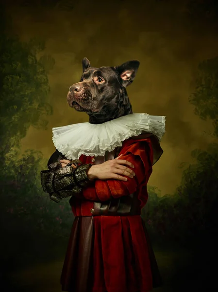 Modell som medeltida kungligheter person i vintage kläder leds av hund huvud på mörk vintage bakgrund. — Stockfoto
