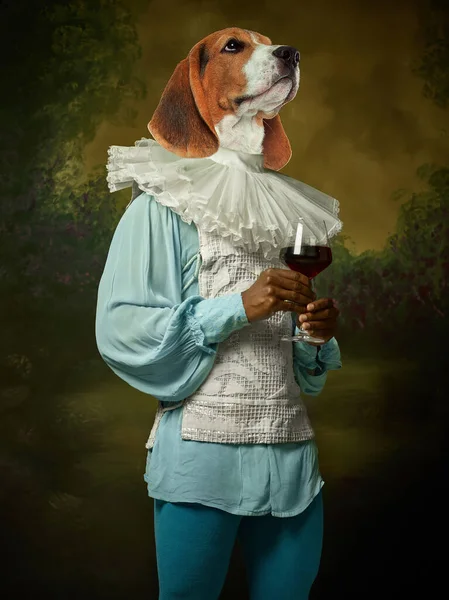 Modello come persona regalità medievale in abiti vintage guidato da testa di cane su sfondo vintage scuro. — Foto Stock