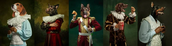 Modellen zoals middeleeuwse royalty 's in vintage kleding aangevoerd door honden hoofden op donkere vintage achtergrond. — Stockfoto