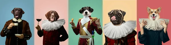 Modèles comme les personnes royauté médiévale dans des vêtements vintage dirigé par des têtes de chiens sur fond multicolore. — Photo