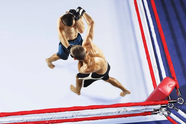 Two professional fighters punching or boxing isolated in the fight ring. High angle view. Collage — Stock Photo, Image