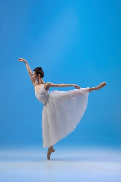 Ung och otroligt vacker ballerina poserar och dansar i blå studio full av ljus. — Stockfoto