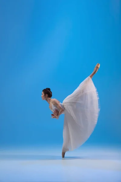 Mladá a neuvěřitelně krásná baletka pózuje a tančí v modrém studiu plném světla. — Stock fotografie