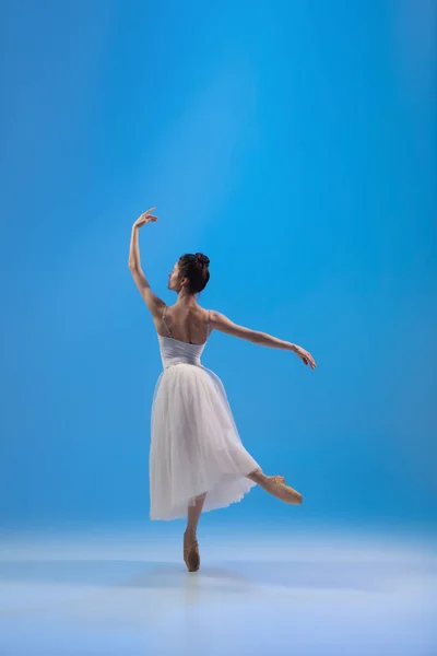 Молода і неймовірно красива балерина позує і танцює на блакитній студії, повній світла . — стокове фото