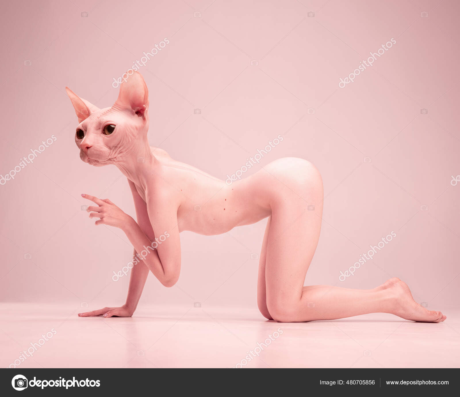 Naked cat girl