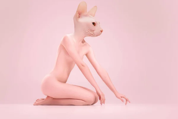 若い裸の美しい女の子がピンクのスタジオの背景に隔離されたポーズをとっているスフィンクス猫の頭の頭。美しさ、純度、優しさと優雅さの概念。サイドビュー — ストック写真