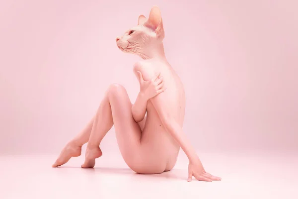 Mladá nahá krásná dívka v čele sphynx kočka hlava pózovat izolované na růžové pozadí studia. Pojetí krásy, čistoty, něhy a půvabu. — Stock fotografie
