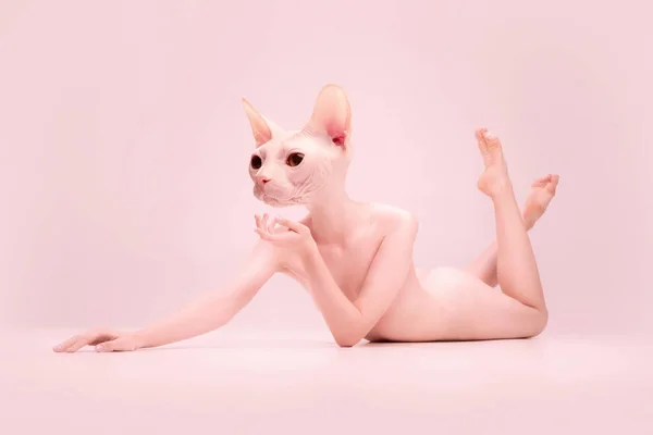 Mladá nahá krásná dívka v čele sphynx kočka hlava pózovat izolované na růžové pozadí studia. Pojetí krásy, čistoty, něhy a půvabu. — Stock fotografie