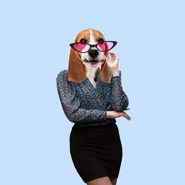 Obra de arte contemporáneo, collage conceptual. Mujer encabezada por cabeza de perro. Colores de moda. — Foto de Stock