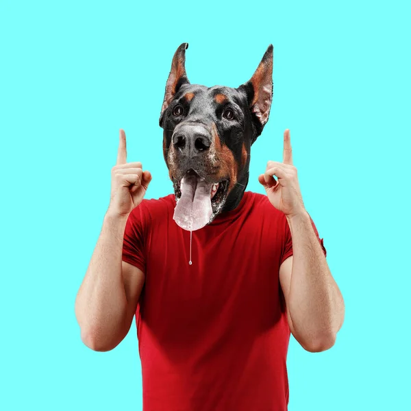 Arte contemporânea, colagem conceitual. Homem encabeçado por cabeça de cão. Cores da moda. — Fotografia de Stock