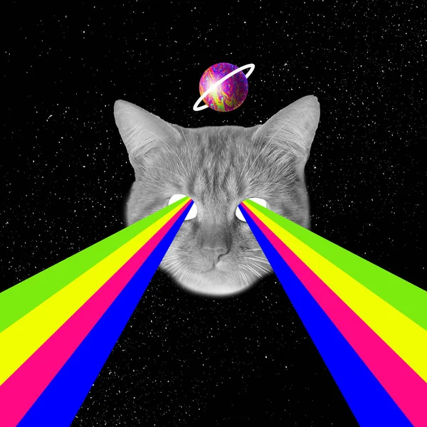 Collage zeitgenössischer Kunst, modernes Design. Partystimmung. Katzenkopf mit Regenbogen bunte Flut von Brillen. — Stockfoto