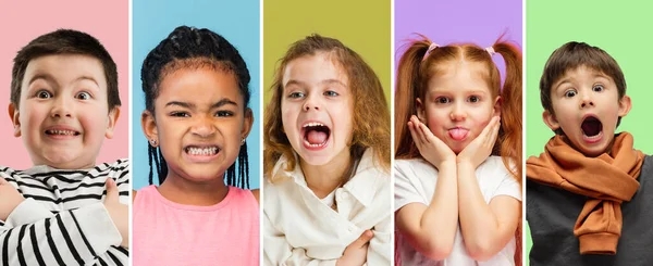 Collage fatto di ritratti di bambini piccoli e carini, ragazzi e ragazze isolati su sfondo multicolore studio. Emozioni umane, espressione facciale, concetto di infanzia — Foto Stock