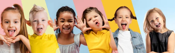 Collage hecho de retratos de niños pequeños y lindos, niños y niñas aislados en fondo de estudio multicolor. Emociones humanas, expresión facial, concepto infantil — Foto de Stock