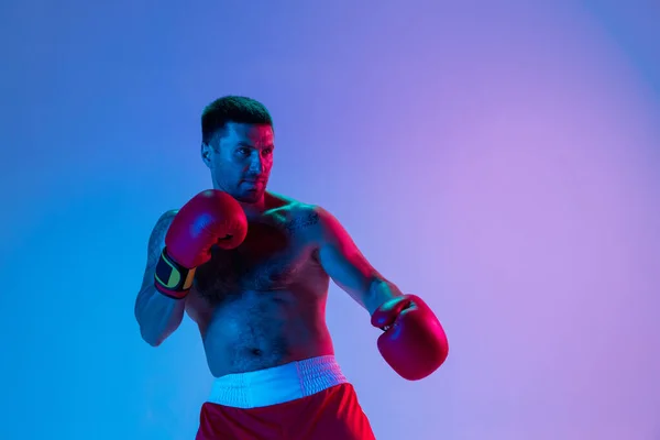 Jeden zawodowy bokser w boksie sportowym na tle studia w gradientowym świetle neonowym. Pojęcie sportu, aktywności, ruchu, dobrobytu. — Zdjęcie stockowe