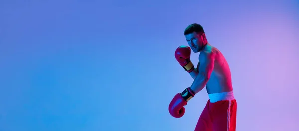 Ulotka. Jeden zawodowy bokser w boksie sportowym na tle studia w gradientowym świetle neonowym. Pojęcie sportu, aktywności, ruchu, dobrobytu. — Zdjęcie stockowe