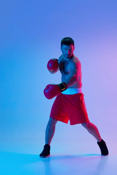Один человек, профессиональный боксер в спортивном боксе на студийном фоне в градиентном неоновом свете. Спорт, активность, движение, самочувствие. — стоковое фото