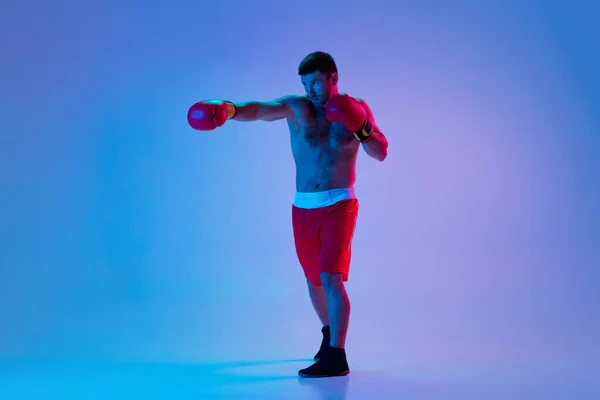 Blanke man, professionele bokser in sportwear boksen op studio achtergrond in gradiënt neon licht. Begrip sport, activiteit, beweging, welzijn. — Stockfoto