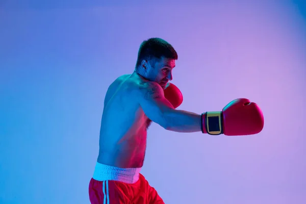 Portrait of Caucasian man, professional boxer in sportwear boxing on studio background in gradient neon light. Concept of sport, activity, movement, wellbeing. — Stock Photo, Image
