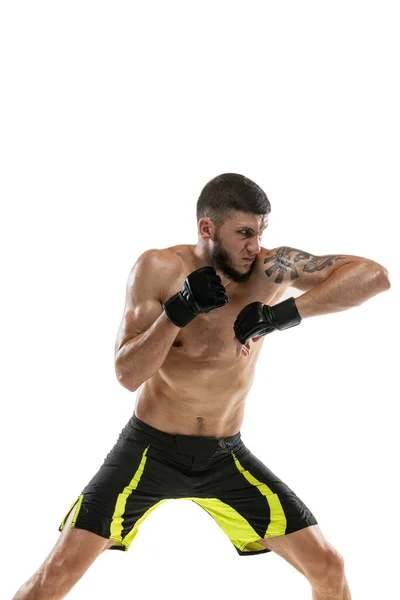 Portret van een professionele mannelijke MMA bokser die op een witte studioachtergrond oefent. Fit gespierde Kaukasische atleet vechten. — Stockfoto