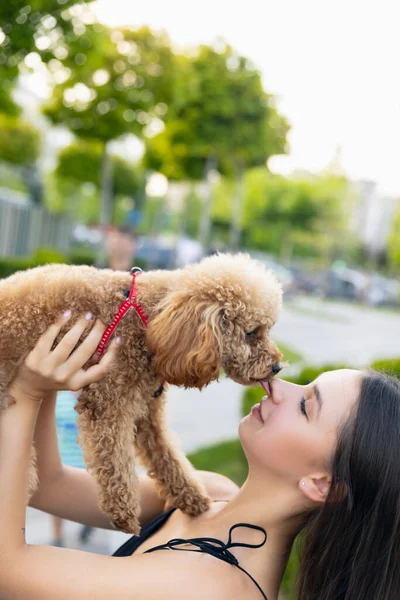 Dos mejores amigos. Hermosa chica y su mascota, perrito caniche dorado paseando en el parque público, al aire libre. Hora de verano. Emociones sinceras. concepto de actividades de ocio — Foto de Stock