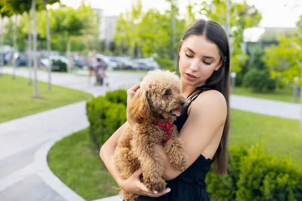 Genç kız ve onun evcil köpeği, küçük kaniş köpeği halka açık bir parkta geziniyorlar. Yaz zamanı. Samimi duygular. boş zaman aktiviteleri konsepti — Stok fotoğraf