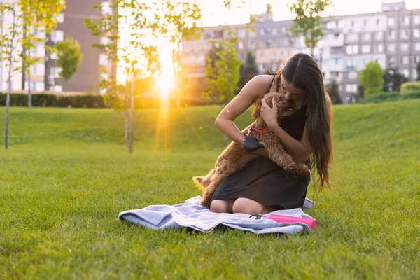 Abendspaziergänge. Schöne Mädchen und ihr Haustier, kleiner goldener Pudelhund, der im öffentlichen Park spazieren geht, im Freien. Sommerzeit. Aufrichtige Emotionen. Freizeitkonzept — Stockfoto