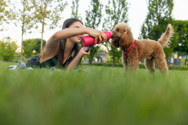 Hermosa chica y su mascota, perrito caniche dorado paseando en el parque público, al aire libre. Hora de verano. Emociones sinceras. concepto de actividades de ocio — Foto de Stock