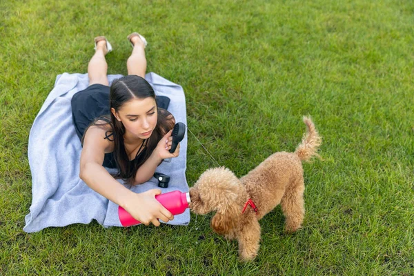 Güzel kız ve onun evcil köpeği, küçük kaniş köpeği halka açık bir parkta geziniyorlar. Yaz zamanı. Samimi duygular. boş zaman aktiviteleri konsepti — Stok fotoğraf