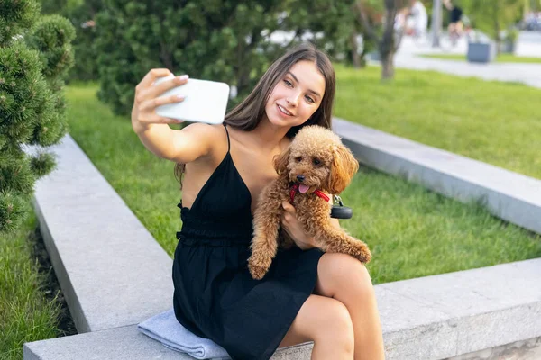 Chica bonita y su mascota, perrito caniche dorado paseando en el parque público, al aire libre. Hora de verano. Emociones sinceras. concepto de actividades de ocio — Foto de Stock