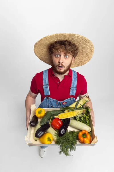 Close-up redheaded bearded man, farmer with vegetables harvest standing isolated over gray studio background. Concept of professional occupation, work. — Stock Photo, Image