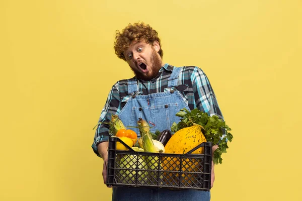 Portrait of redheaded bearded man, farmer with vegetables harvest standing isolated over yellow studio background. Concept of professional occupation, work. — Stock Photo, Image