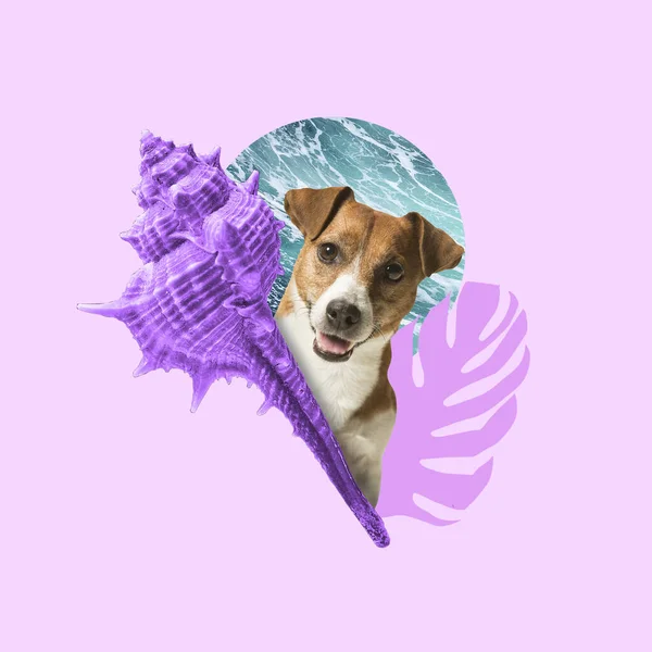 Contemporary art collage, modern design. Summertime mood. Sea shell and dog on light trendy background. — Stock Photo, Image