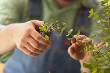 Kesilmiş görüntü adamı, bahçede çalışan çiftçi, açık hava mesleği, iş, aktivite kavramı