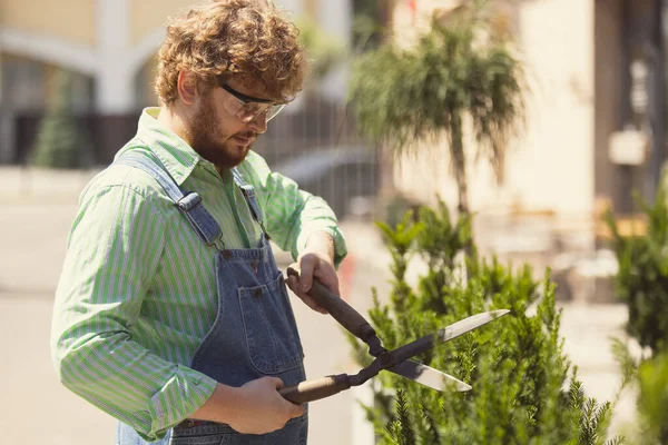 Retrato de hombre barbudo pelirrojo, granjero con grandes tijeras de jardín prensando árboles en el jardín, al aire libre Concepto de ocupación profesional, trabajo. — Foto de Stock