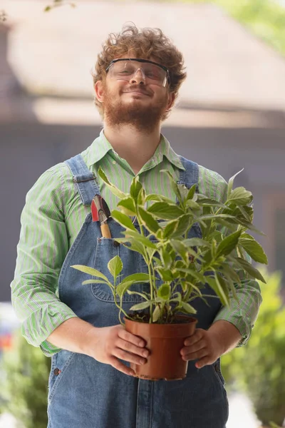 붉은 머리의 수염을 가진 남자, 정원에서 식물을 기르는 농부, 직업적 직업에 대한 외부의 개념, 작업. — 스톡 사진