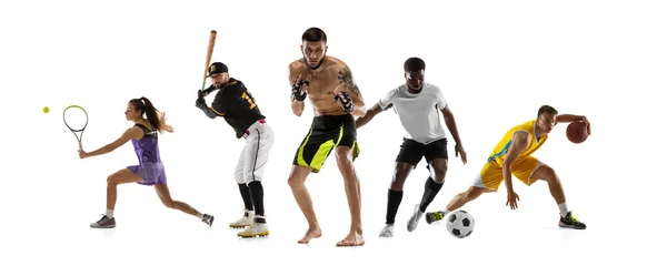 スポーツコラージュ。MMA 、テニス、サッカー、野球、バスケットボールの選手が白いスタジオの背景に隔離されたポーズ. — ストック写真